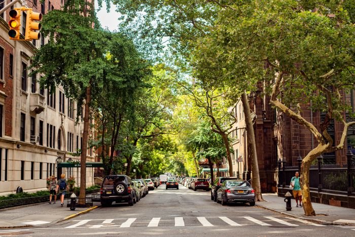 NY landscape